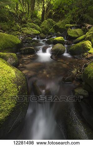 Ruckel Creek; Oregon, United States of America View Large Photo Image Stock Photo - Ruckel Creek; Oregon, United States of America. Fotosearch