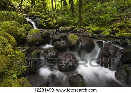 Ruckel Creek; Oregon, United States of America View Large Photo Image Stock Photo - Ruckel Creek; Oregon, United States of America. Fotosearch