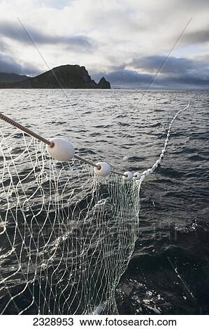 Stock Image - Salmon Fishing In Front Of Cape Pankoff On Unimak Island; Alaska, United States Of America. Fotosearch