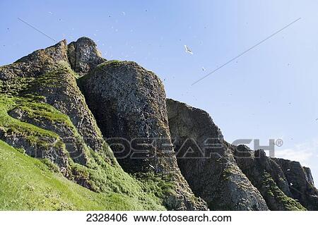 Stock Photograph - Sankin Island, In Ikatan Bay, Near False Pass; Southwest Alaska, United States Of America. Fotosearch
