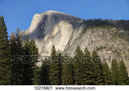 Scenic view of Half Dome from Yosemite Valley, Yosemite National Park; California, United States of America View Large Photo Image Stock Image - Scenic view of Half Dome from Yosemite Valley, Yosemite National Park; California, United States of America. Fotosearch