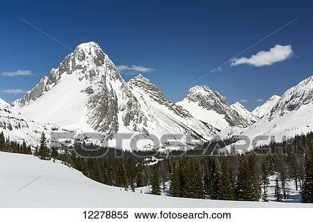 Snow covered mountain scape with evergreen meadow and blue sky and clouds; Alberta, Canada View Large Photo Image Stock Photography - Snow covered mountain scape with evergreen meadow and blue sky and clouds; Alberta, Canada. Fotosearch
