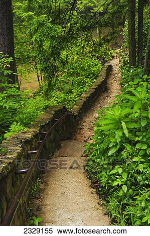 Steps Leading Down To Upper Falls, Hocking Hills State Park; Ohio, United States Of America View Large Photo Image Stock Photography - Steps Leading Down To Upper Falls, Hocking Hills State Park; Ohio, United States Of America. Fotosearch