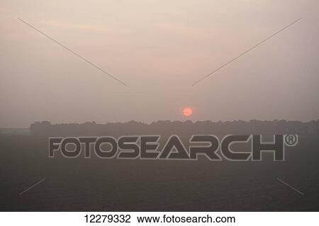 Sunrise through light fog over a crop field; England, Arizona, United States of America View Large Photo Image Stock Image - Sunrise through light fog over a crop field; England, Arizona, United States of America. Fotosearch