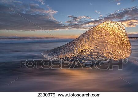 Sunset Light Is Shining Through A Piece Of Ice Along The South Coast Of Iceland; Iceland View Large Photo Image Stock Photo - Sunset Light Is Shining Through A Piece Of Ice Along The South Coast Of Iceland; Iceland. Fotosearch