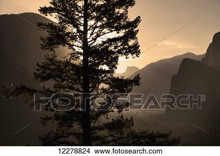 Sunset of Half Dome at Tunnel View, Yosemite National Park; California, United States of America View Large Photo Image Picture - Sunset of Half Dome at Tunnel View, Yosemite National Park; California, United States of America. Fotosearch