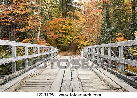 Stock Image - The bridge across Oxtongue river extends further through colourful autumn forest; Muskoka, Ontario, Canada. Fotosearch