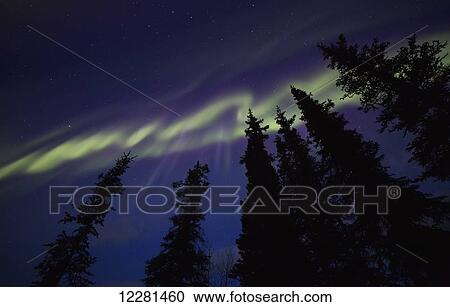 The northern lights (aurora borealis) dance in the skies above Yukon Territory; Whitehorse, Yukon, Canada View Large Photo Image Stock Image - The northern lights (aurora borealis) dance in the skies above Yukon Territory; Whitehorse, Yukon, Canada. Fotosearch