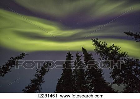 Stock Image - The northern lights (aurora borealis) dance in the skies above Yukon Territory; Whitehorse, Yukon, Canada. Fotosearch
