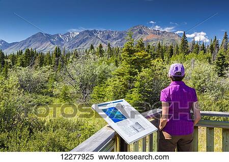 Stock Photography - Tourist view scenery while at a Early Peoples overlook, Kluane Lake Provincial Park, Yukon Territory, Canada. Fotosearch