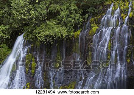 Picture - Upper Panther Falls; Washington, United States of America. Fotosearch