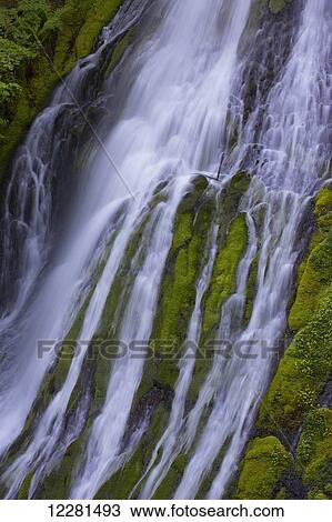 Upper Panther Falls; Washington, United States of America View Large Photo Image Stock Image - Upper Panther Falls; Washington, United States of America. Fotosearch