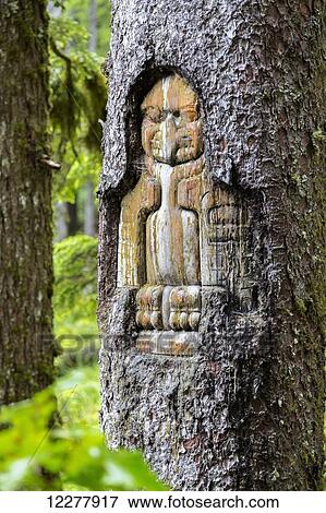 View of a totem carving in a Spruce tree in Glacier Bay National Park, Southeast Alaska, Summer View Large Photo Image Stock Photo - View of a totem carving in a Spruce tree in Glacier Bay National Park, Southeast Alaska, Summer. Fotosearch