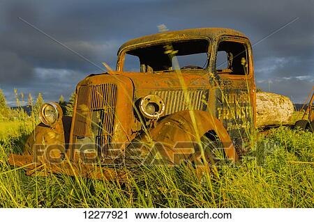 View of an old rusty Ford truck at sunset in a field in Gustavus, Southeast Alaska, Summer View Large Photo Image Stock Image - View of an old rusty Ford truck at sunset in a field in Gustavus, Southeast Alaska, Summer. Fotosearch