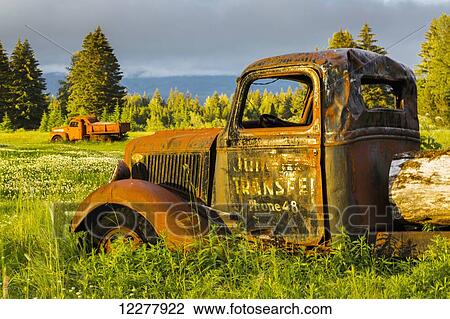 View of an old rusty Ford trucks at sunset in a field in Gustavus, Southeast Alaska, Summer View Large Photo Image Stock Image - View of an old rusty Ford trucks at sunset in a field in Gustavus, Southeast Alaska, Summer. Fotosearch