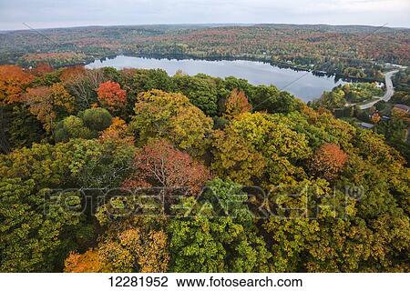 Stock Image - View of colourful autumn forest and a lake from the Dorset lookout tower; Dorset, Ontario, Canada. Fotosearch