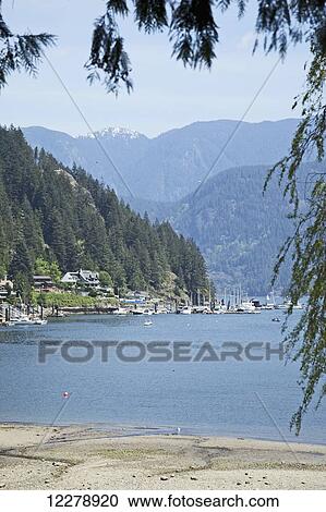 View of Deep Cove from beach with mountains in background, North Vancouver; Vancouver, British Columbia, Canada View Large Photo Image Stock Image - View of Deep Cove from beach with mountains in background, North Vancouver; Vancouver, British Columbia, Canada. Fotosearch