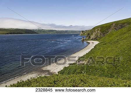 View Of False Pass And The Town Of False Pass From Near A Fish Camp In Summertime; False Pass, Southwest Alaska, United States Of America View Large Photo Image Stock Photography - View Of False Pass And The Town Of False Pass From Near A Fish Camp In Summertime; False Pass, Southwest Alaska, United States Of America. Fotosearch