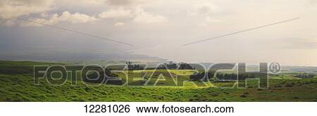 View of ranch land on the Big Island with the Pacific Ocean and a partly cloudy sky beyond; Waimea, Island of Hawaii, Hawaii, United States of America View Large Photo Image Stock Photograph - View of ranch land on the Big Island with the Pacific Ocean and a partly cloudy sky beyond; Waimea, Island of Hawaii, Hawaii, United States of America. Fotosearch