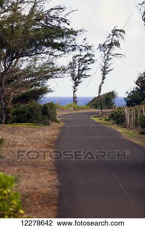 Views from walking along the Kealia walk path; Kapaa, Kauai, Hawaii, United States of America View Large Photo Image Stock Image - Views from walking along the Kealia walk path; Kapaa, Kauai, Hawaii, United States of America. Fotosearch