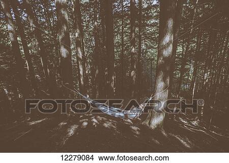 Young man laying in a hammock in a forest, Little River State Park; Waterbury, Vermont, United States of America View Large Photo Image Picture - Young man laying in a hammock in a forest, Little River State Park; Waterbury, Vermont, United States of America. Fotosearch