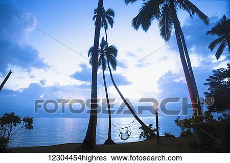 Stock Photograph - A beachfront hammock beckons a guest; Sigatoka, Coral Coast, Fiji. Fotosearch