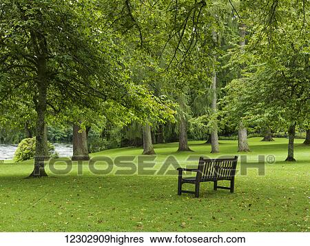 A bench on lush grass in a park by a river; Dunkeld, Perth and Kinross, Scotland View Large Photo Image Stock Photograph - A bench on lush grass in a park by a river; Dunkeld, Perth and Kinross, Scotland. Fotosearch
