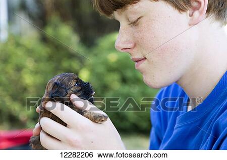 Stock Photograph - A boy holds a small puppy; Chilliwack, British Columbia, Canada. Fotosearch