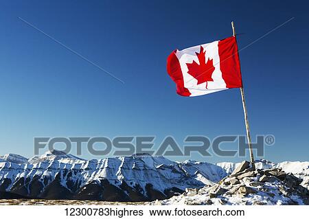 Stock Photograph - A Canadian flag blowing in the wind attached to a wooden branch mounted by snow covered rocks on top of a mountain with snow covered mountain range and blue sky in the background; Kananaskis Country, Alberta, Canada. Fotosearch