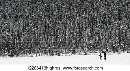 Stock Photograph - A couple walks in the snow beside a snow covered forest; Alberta, Canada. Fotosearch