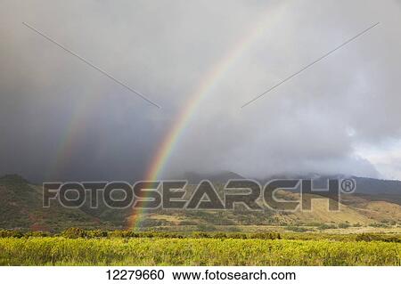 A dramatic rainbow on Mt. Lanai hale; Lanai, Hawaii, United States of America View Large Photo Image Stock Image - A dramatic rainbow on Mt. Lanai hale; Lanai, Hawaii, United States of America. Fotosearch