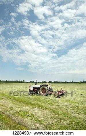 A farm tractor with a harrow in a cut hay field; Quebec, Canada View Large Photo Image Stock Photo - A farm tractor with a harrow in a cut hay field; Quebec, Canada. Fotosearch