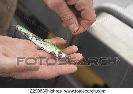 Stock Photograph - A fisherman selects a lure for cod and halibut fishing near Kukak Bay in Cook Inlet, Alaska.. Fotosearch