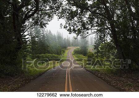 A foggy view of a cemetery road; Lanai, Hawaii, United States of America View Large Photo Image Stock Image - A foggy view of a cemetery road; Lanai, Hawaii, United States of America. Fotosearch
