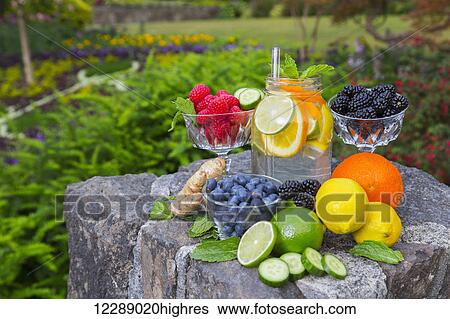 A fresh assortment of fruits, berries and produce set up in a garden for a colourful fresh foods and healty eating image; Vancouver, British Columbia, Canada View Large Photo Image Stock Photograph - A fresh assortment of fruits, berries and produce set up in a garden for a colourful fresh foods and healty eating image; Vancouver, British Columbia, Canada. Fotosearch
