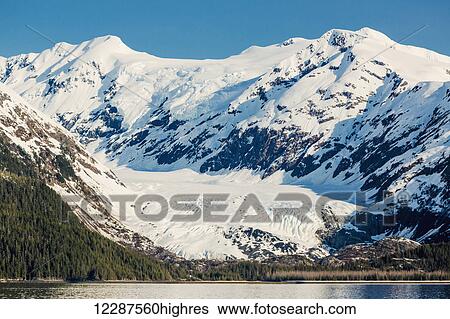 Stock Photograph - A glacier sits in the valley of snow covered mountains above hillsides of evergreen trees in Kings Bay, Prince William Sound; Whittier, Alaska, United States of America. Fotosearch