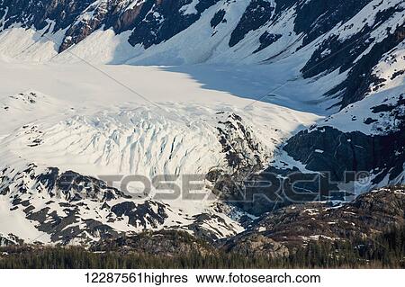 Stock Photograph - A glacier sits in the valley of snow covered mountains above hillsides of evergreen trees in Kings Bay, Prince William Sound; Whittier, Alaska, United States of America. Fotosearch