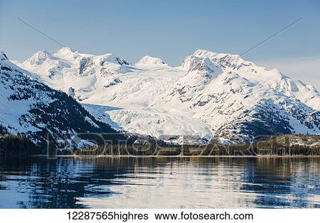 A glacier sits in the valley of snow covered mountains above hillsides of evergreen trees in Kings Bay, Prince William Sound; Whittier, Alaska, United States of America View Large Photo Image Stock Photograph - A glacier sits in the valley of snow covered mountains above hillsides of evergreen trees in Kings Bay, Prince William Sound; Whittier, Alaska, United States of America. Fotosearch