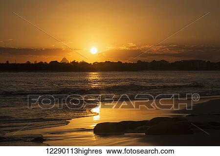 A golden sun sets over silhouetted trees and reflects on the wet beach along the coast; Caloundra, Queensland, Australia View Large Photo Image Stock Photograph - A golden sun sets over silhouetted trees and reflects on the wet beach along the coast; Caloundra, Queensland, Australia. Fotosearch