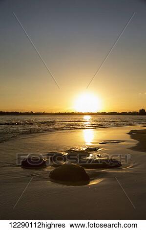 A golden sun sets over the horizon and reflects on the wet beach along the coast; Caloundra, Queensland, Australia View Large Photo Image Stock Photograph - A golden sun sets over the horizon and reflects on the wet beach along the coast; Caloundra, Queensland, Australia. Fotosearch
