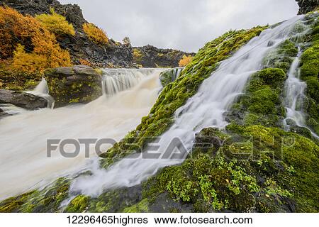 A group of waterfalls collectively known as Gjain; Iceland View Large Photo Image Stock Photograph - A group of waterfalls collectively known as Gjain; Iceland. Fotosearch