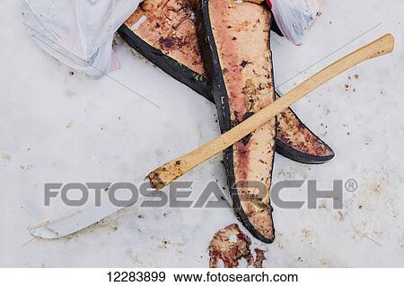 Stock Photo - A large knife used to butcher Bowhead Whale rests atop pieces of whale meat, Barrow, North Slope, Arctic Alaska, USA, Winter. Fotosearch