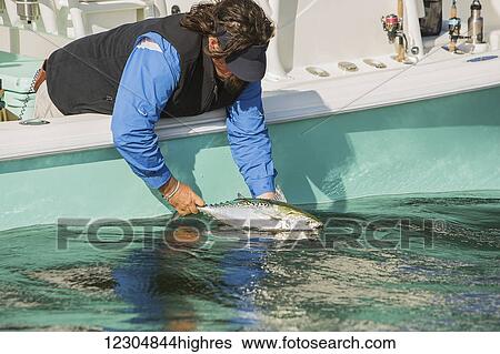 Stock Photograph - A man holds his fresh catch off the edge of a fishing boat on the Atlantic coast; Cape Cod, Massachusetts, United States of America. Fotosearch