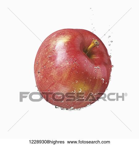 Stock Photograph - A red apple covered in water droplets on a white background; Toronto, Ontario, Canada. Fotosearch