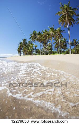 A remote beach On Lanai's East side; Lanai, Hawaii, United States of America View Large Photo Image Stock Photograph - A remote beach On Lanai's East side; Lanai, Hawaii, United States of America. Fotosearch