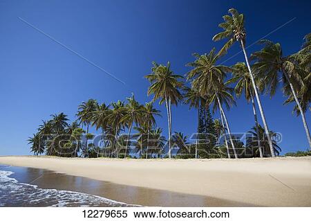 A remote beach On Lanai's East side; Lanai, Hawaii, United States of America View Large Photo Image Stock Photography - A remote beach On Lanai's East side; Lanai, Hawaii, United States of America. Fotosearch