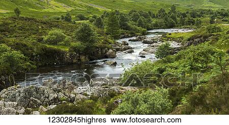 Stock Photograph - A river flows through a lush, green landscape of trees and grass; Scotland. Fotosearch