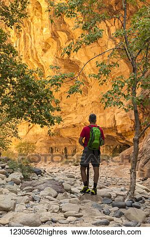 A senior man hikes in the slot canyon in Zion National Park along the creek bed of the Virgin River; Utah, United States of America View Large Photo Image Stock Photograph - A senior man hikes in the slot canyon in Zion National Park along the creek bed of the Virgin River; Utah, United States of America. Fotosearch