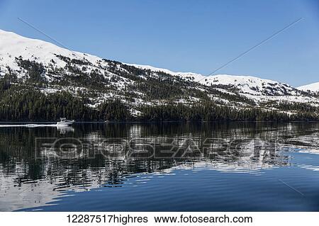 A small boat motors on calm waters of Prince William Sound, evergreen trees and snow reflecting off the water, Prince William Sound; Whittier, Alaska, United States of America View Large Photo Image Stock Photograph - A small boat motors on calm waters of Prince William Sound, evergreen trees and snow reflecting off the water, Prince William Sound; Whittier, Alaska, United States of America. Fotosearch