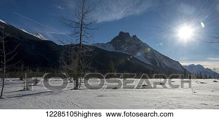 Stock Photograph - A snow covered field and the Canadian Rocky Mountains in Yoho National Park; Field, British Columbia, Canada. Fotosearch